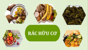 Rác hữu cơ