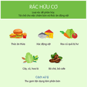 Rác hữu cơ là gì? Phương pháp xử lý rác hữu cơ hiệu quả