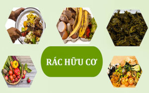 Rác hữu cơ