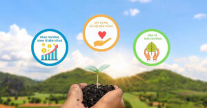 Các nguyên tắc và tiêu chí đánh giá phát triển bề