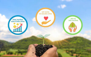 Các nguyên tắc và tiêu chí đánh giá phát triển bề