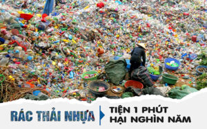 Sự nguy hại của rác thải nhựa đối với môi trường